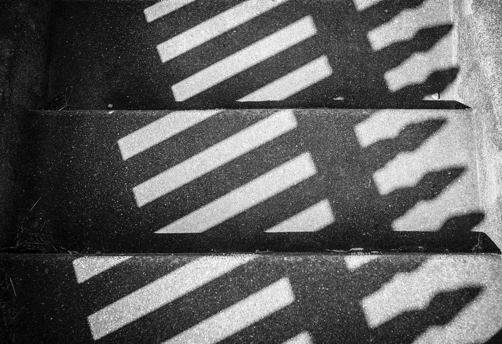 White Picket Shadows