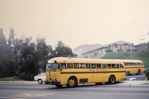 School Busses.